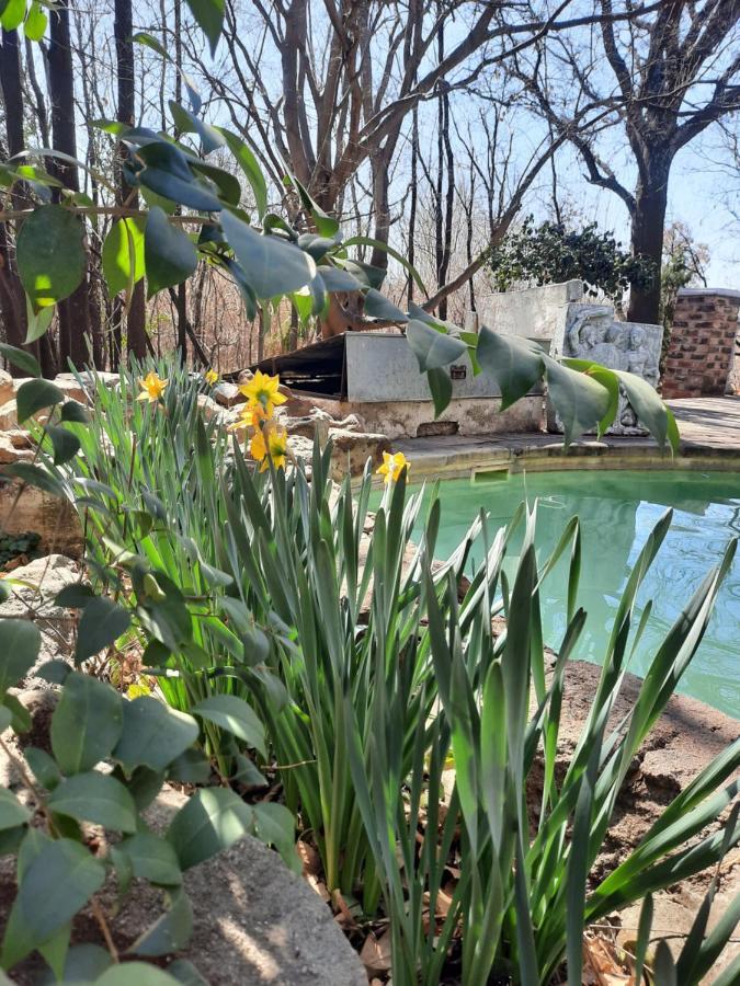 Arcadia Guesthouse Kroonstad Exterior photo